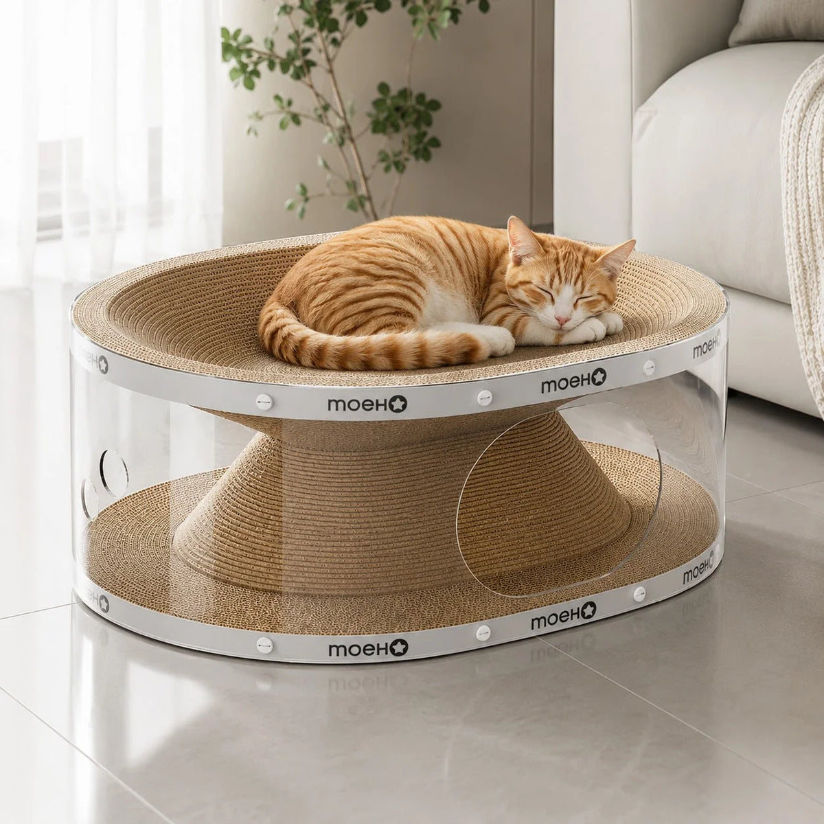 Cat Tunnel Scratcher Bed Transparent Panel Double Layer