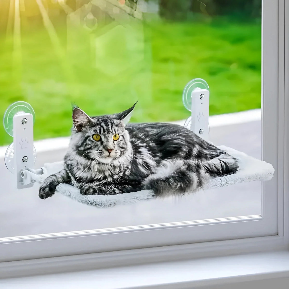 Cat Window Bed Foldable Suction Cups Plush Cushion