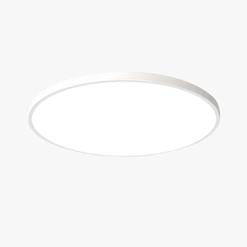 Ceiling Light Flush Mount LED IP54 Splash-Resistant Adjustable Color Temperature