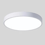 Ceiling Light Integrated LED Diffused Light