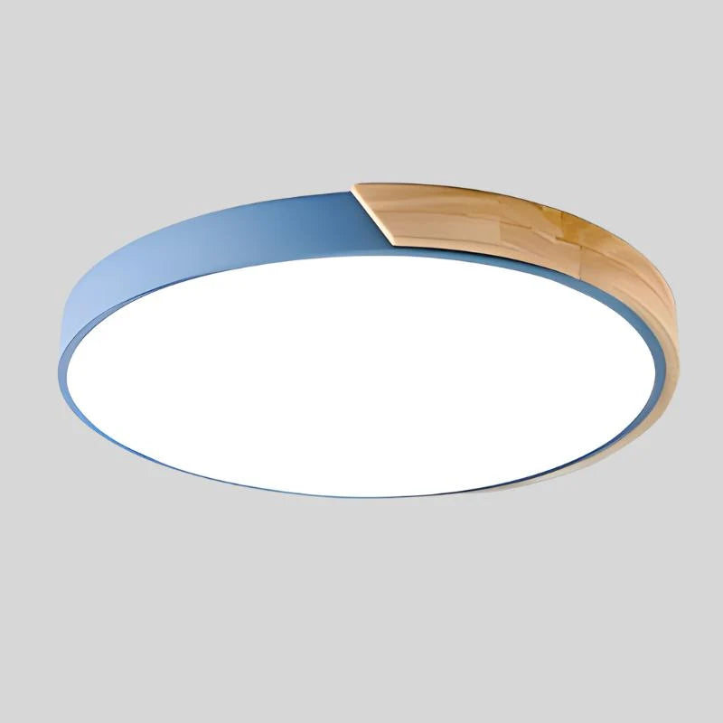 Ceiling Light Integrated LED Diffused Light