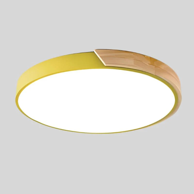 Ceiling Light Integrated LED Diffused Light