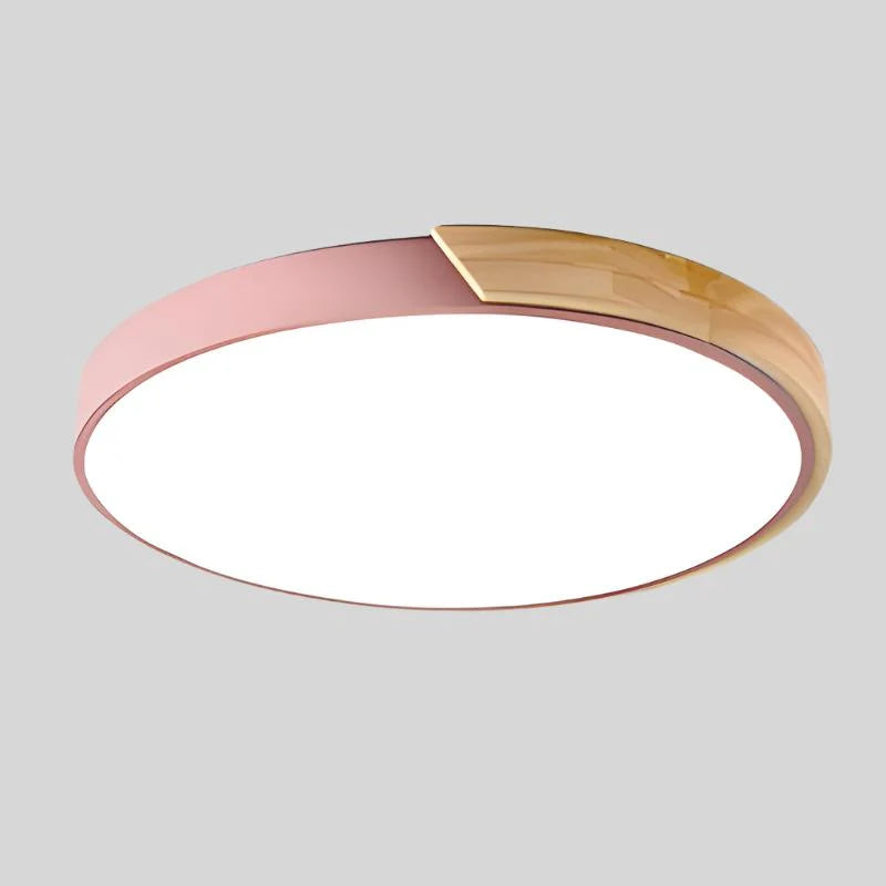 Ceiling Light Integrated LED Diffused Light