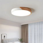 Ceiling Light Integrated LED Diffused Light