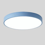 Ceiling Light Integrated LED Diffused Light