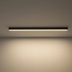 Ceiling Light Integrated LED Dimmable Remote Control