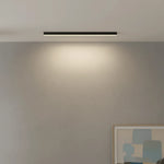 Ceiling Light Integrated LED Dimmable Remote Control