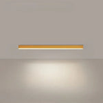 Ceiling Light Integrated LED Dimmable Remote Control