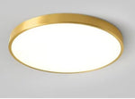 Ceiling Light LED Dimmable Multiple Shapes