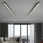 Ceiling Light LED Slim Flush Mount Adjustable Color Temperature
