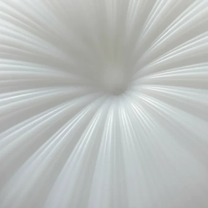 Ceiling Light Pleated Integrated Warm White LED