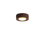 Ceiling Light Walnut Wood Integrated LED Spotlight