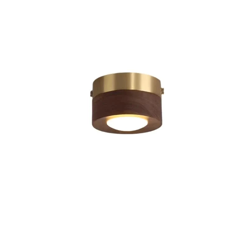 Ceiling Light Walnut Wood Integrated LED Spotlight