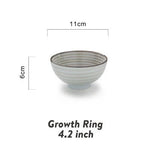 Ceramic Bowl Crackle Glaze 33.8 Fl Oz Capacity