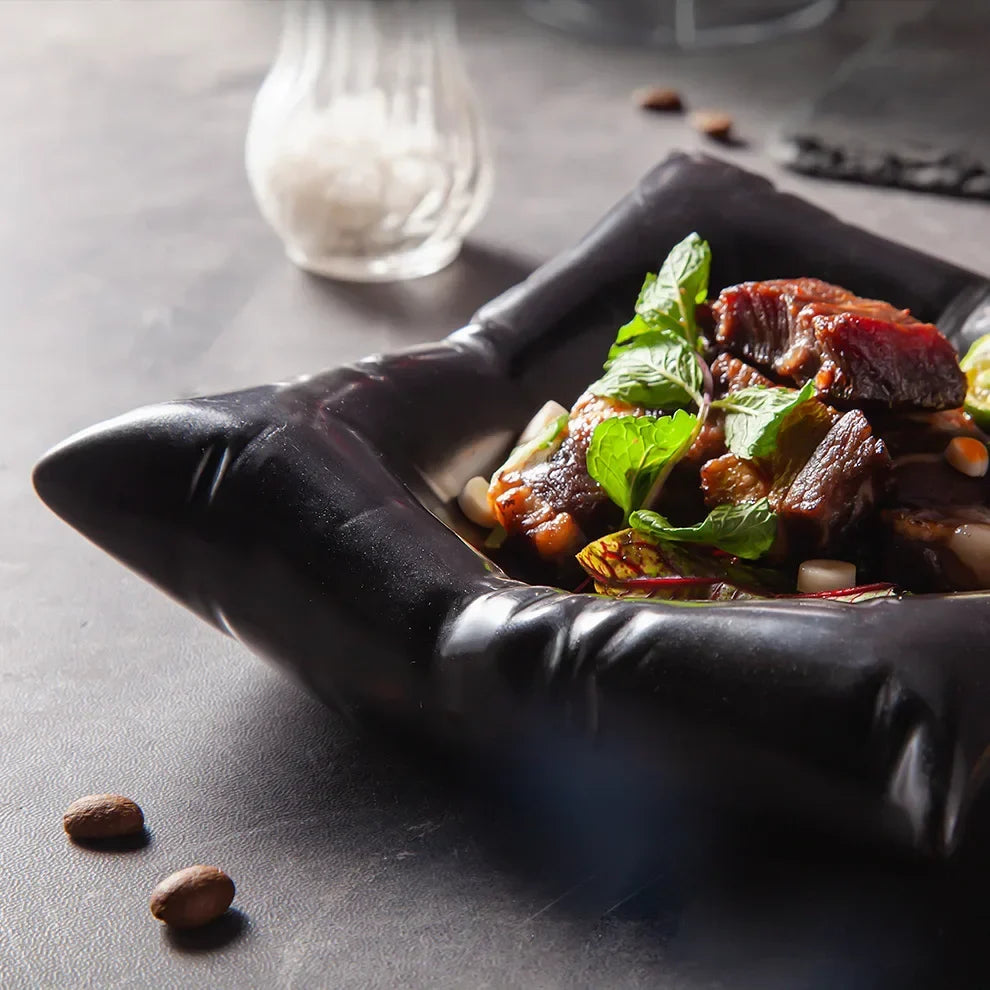 Ceramic Plate Pillow-Shaped Glazed Oven & Microwave Safe