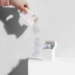 Clamshell Storage Box Inner Lid Dust-Resistant Plastic