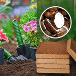 Coconut Coir Blocks Expandable Organic & Compostable