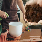 Coconut Coir Blocks Expandable Organic & Compostable