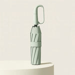 Compact Umbrella Wind-Resistant Automatic Open & Close