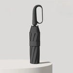 Compact Umbrella Wind-Resistant Automatic Open & Close