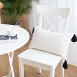 Cushion Cover Handwoven Cotton Blend Jacquard Tassels Concealed Zipper