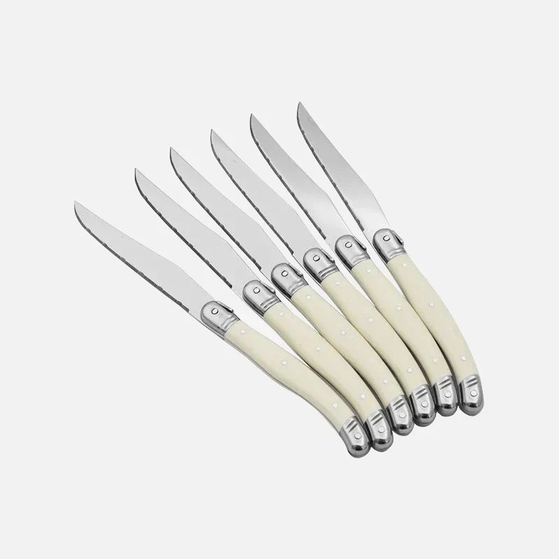 Cutlery Set 24 Piece Stainless Steel Ivory Handles
