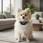 Dog Bark Control Collar Sound & Vibration Training IP87 Water-Resistant