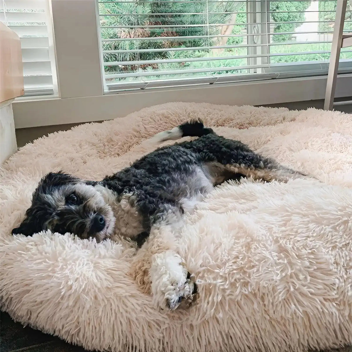 Dog Bed Eight Sizes Breed-Based Size Guide
