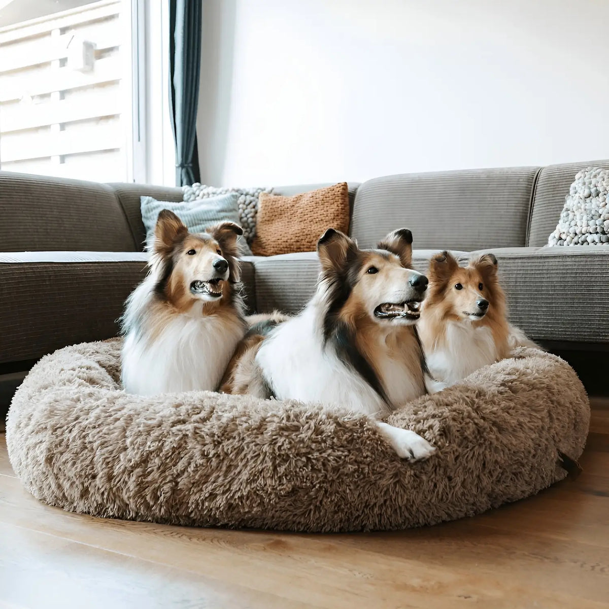 Dog Bed Eight Sizes Breed-Based Size Guide