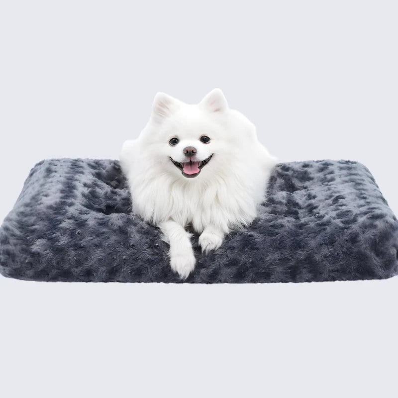 Dog Bed Mat Thick Padded Non-Slip Washable