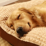 Dog Bed Orthopedic Foam Removable Machine-Washable Cover