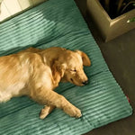 Dog Bed Orthopedic Support Plush Comfort