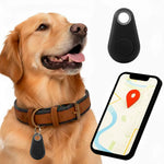 Dog Bluetooth Tracker Two-Way Alerts IP67 Water-Resistant No Subscription