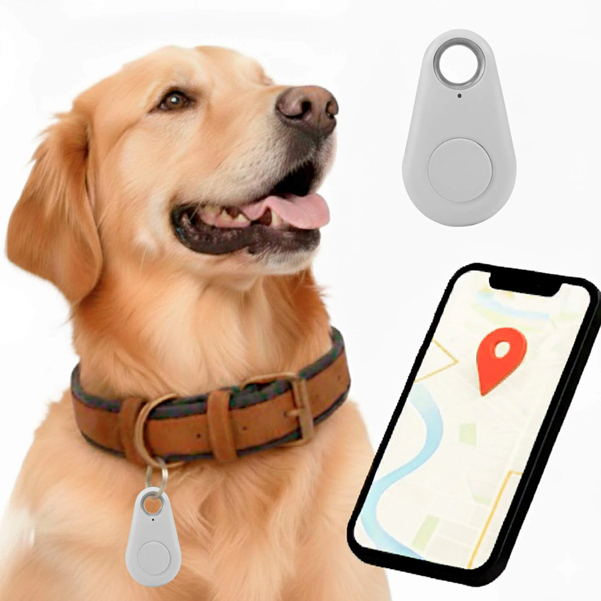 Dog Bluetooth Tracker Two-Way Alerts IP67 Water-Resistant No Subscription