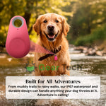 Dog Bluetooth Tracker Two-Way Alerts IP67 Water-Resistant No Subscription