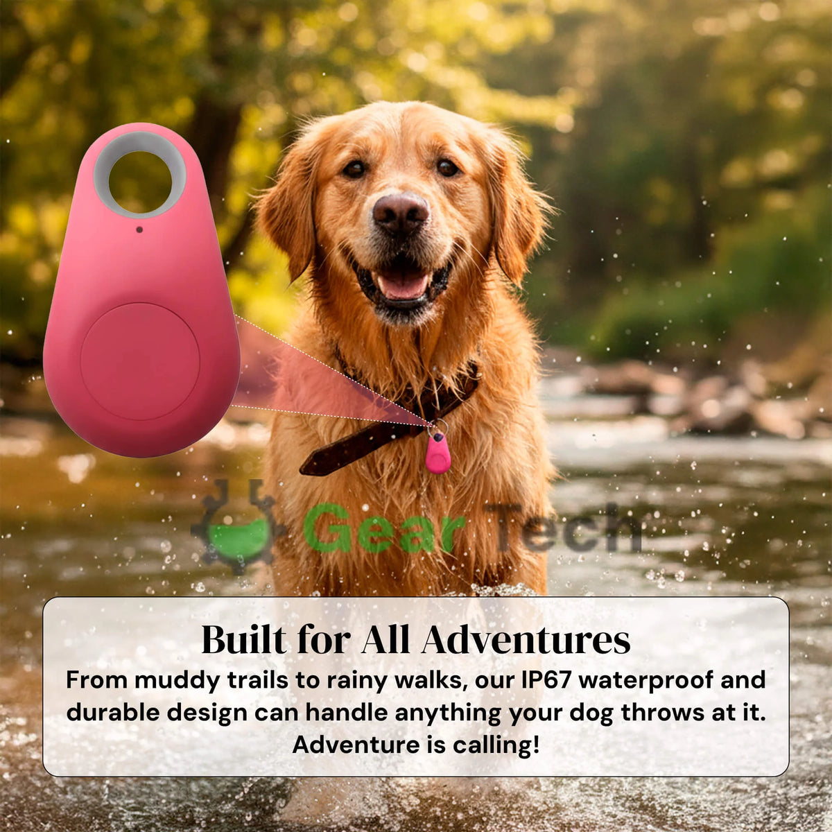 Dog Bluetooth Tracker Two-Way Alerts IP67 Water-Resistant No Subscription