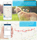 Dog & Cat GPS Collar Real-Time Tracking Waterproof Lightweight