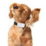 Dog & Cat GPS Collar Real-Time Tracking Waterproof Lightweight