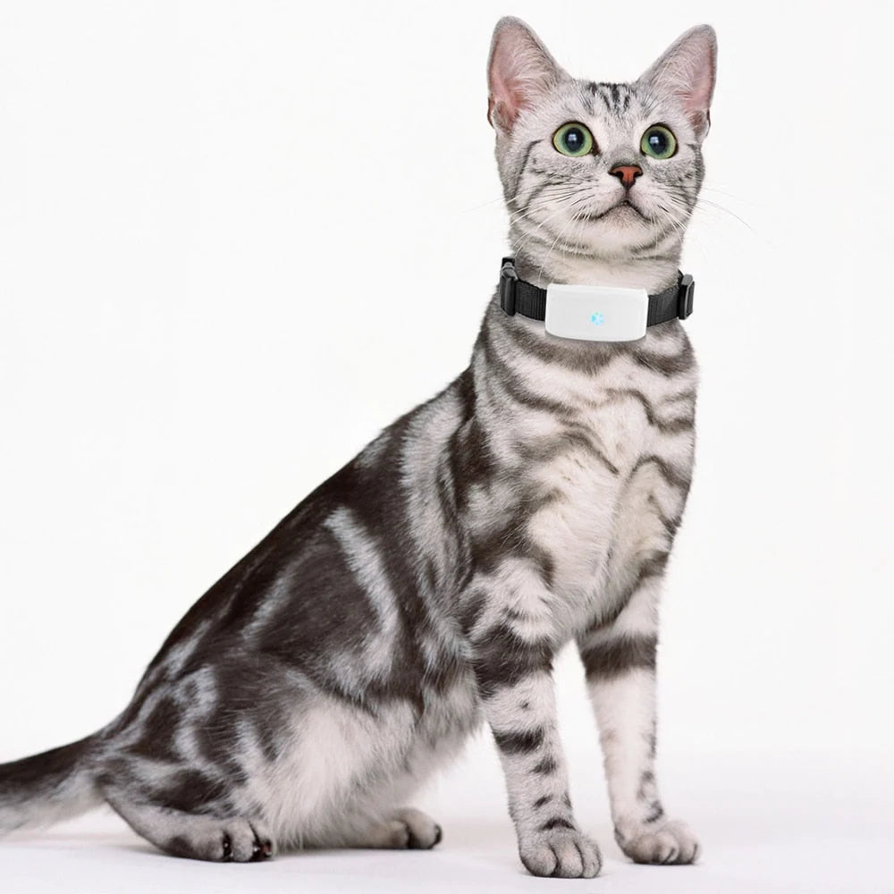 Dog & Cat GPS Collar Real-Time Tracking Waterproof Lightweight