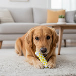 Dog Chew Toy Calming Lavender & Chamomile Non-Toxic