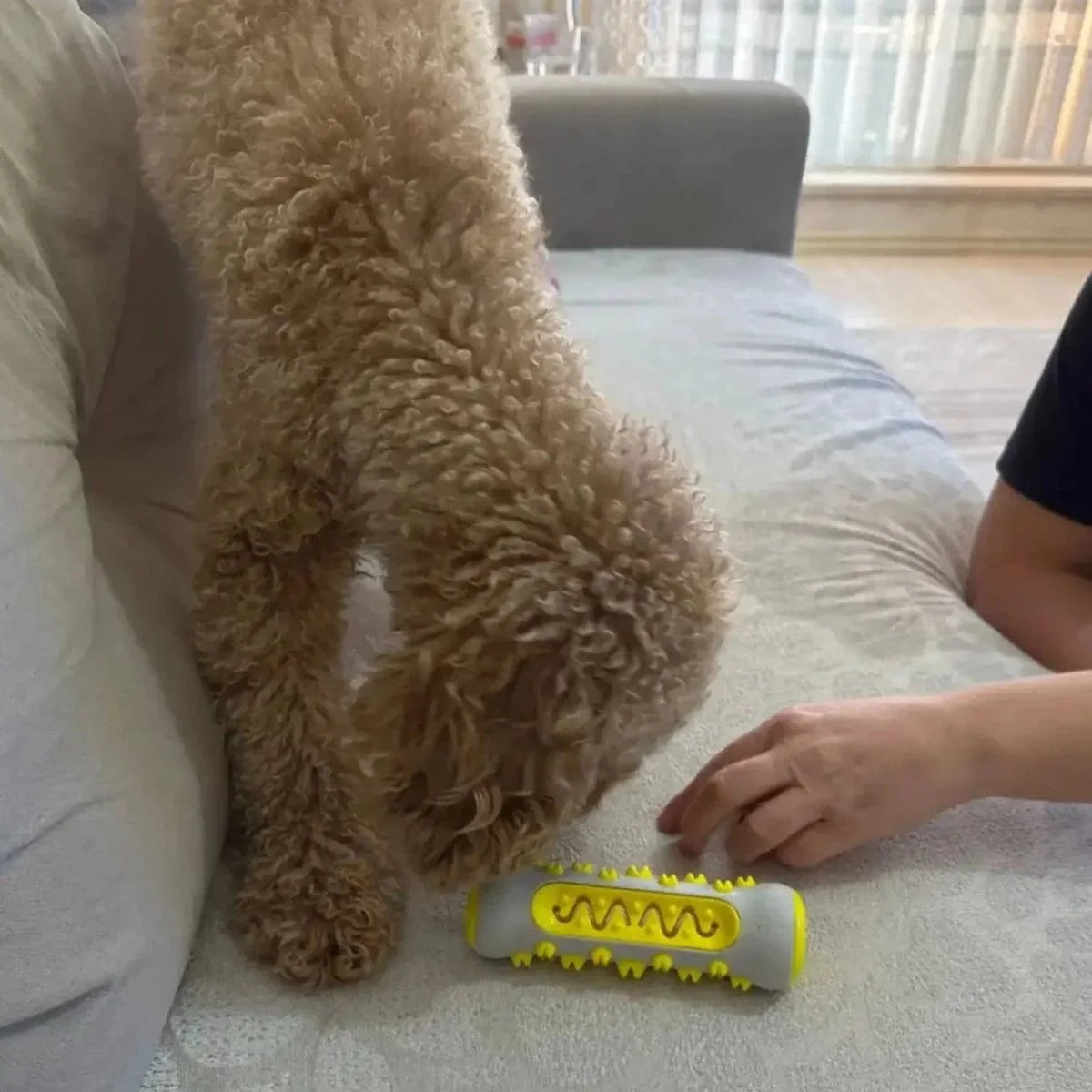 Dog Chew Toy Calming Lavender & Chamomile Non-Toxic