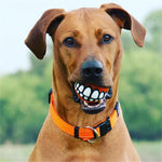 Dog Chew Toy Durable Rubber Squeaky Smiling Ball