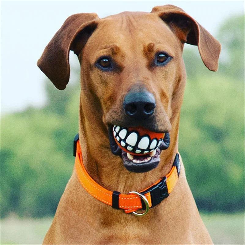 Dog Chew Toy Durable Rubber Squeaky Smiling Ball