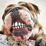 Dog Chew Toy Durable Rubber Squeaky Smiling Ball