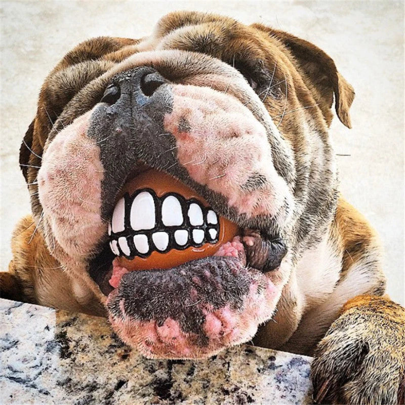 Dog Chew Toy Durable Rubber Squeaky Smiling Ball