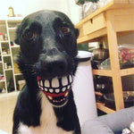 Dog Chew Toy Durable Rubber Squeaky Smiling Ball