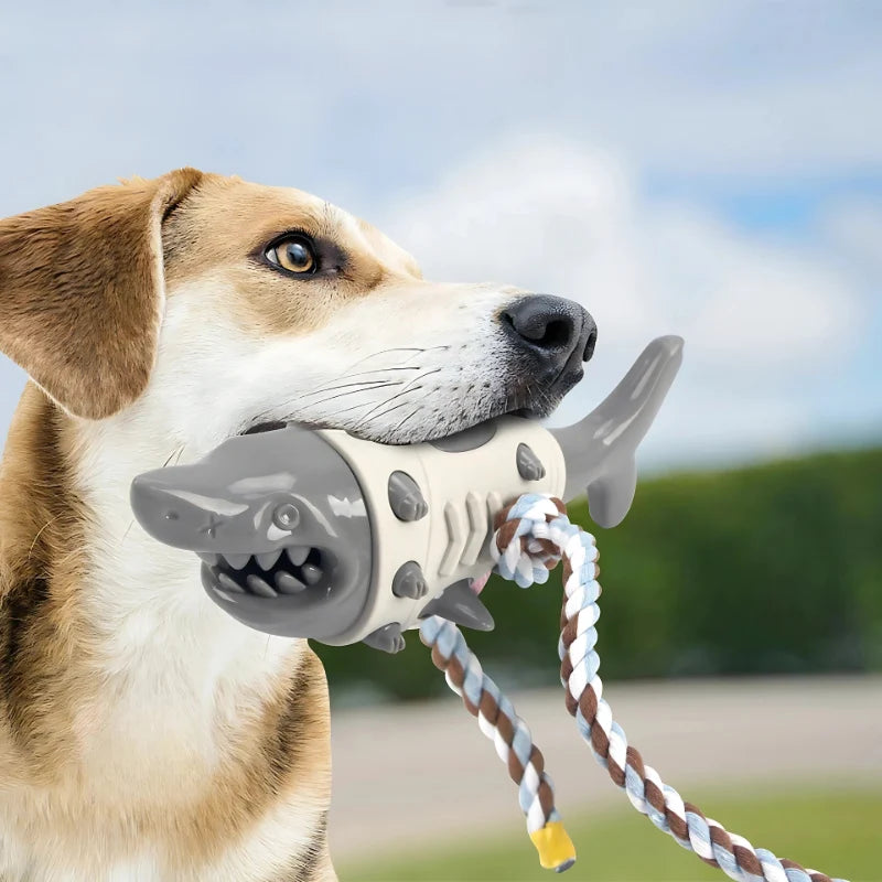 Dog Chew Toy Shark-Shaped Rubber Rope & Dental Care