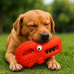 Dog Chew Toy Slow Feeder Squeaky Rubber