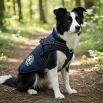 Dog Coat Padded Soft Lining Integrated Harness