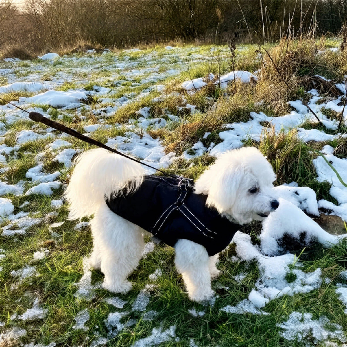 Dog Coat Padded Soft Lining Integrated Harness